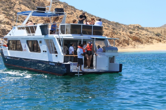  Schnorcheln im Meer von Cortes 